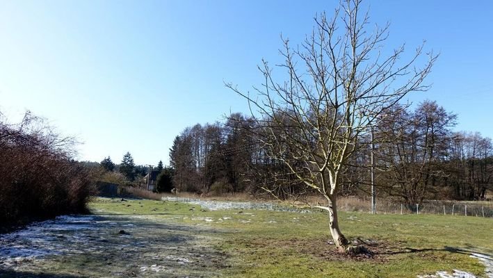 Grundstück/Garten