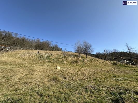 Bild 16