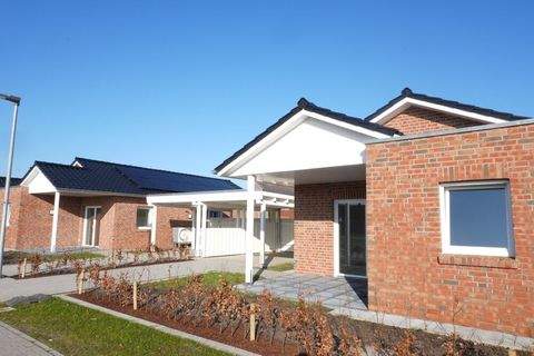 Werlte Häuser, Werlte Haus kaufen