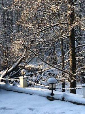 Grundstück im Winter