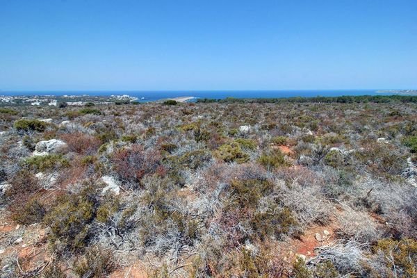 Kreta, Kalathas: Grundstück mit herrlichem Blick auf das Meer und die Weißen Berge zu verkaufen