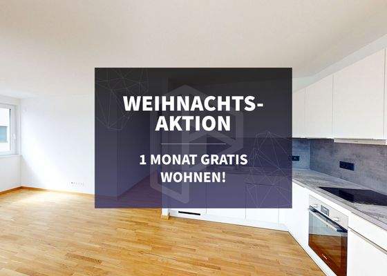 Moderne Einbauküche