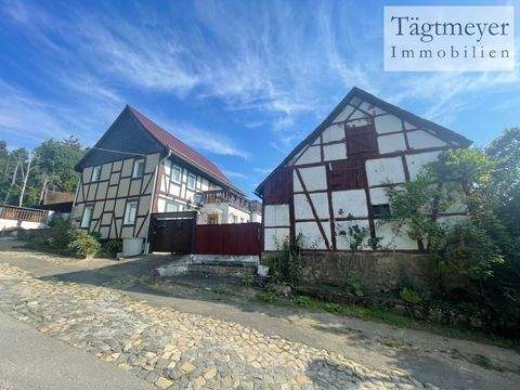 Börnecke Häuser, Börnecke Haus kaufen