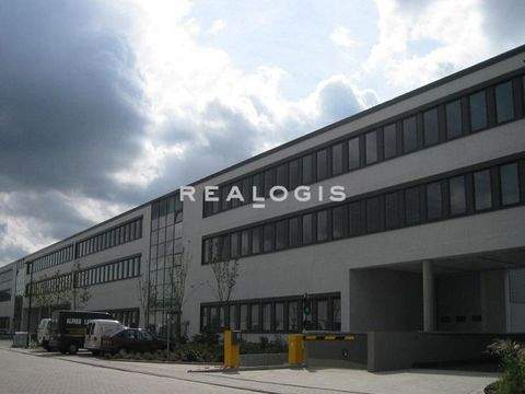 Erlangen Halle, Erlangen Hallenfläche