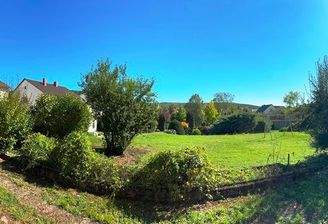 Gartenpanorama 180°