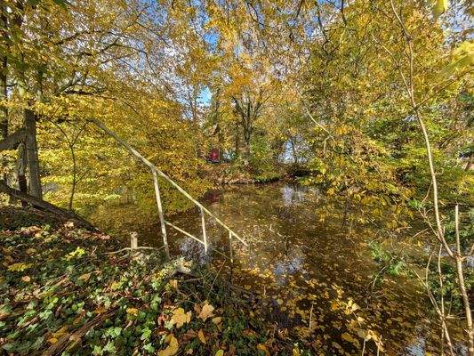 Gewässer am hinteren Grundstücksende