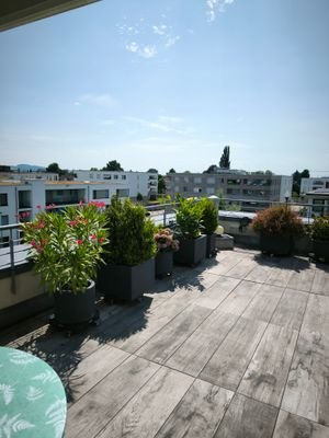 Ausblick von der Dachterrasse