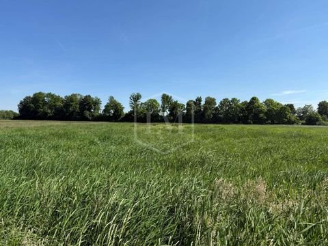 Grefrath Bauernhöfe, Landwirtschaft, Grefrath Forstwirtschaft