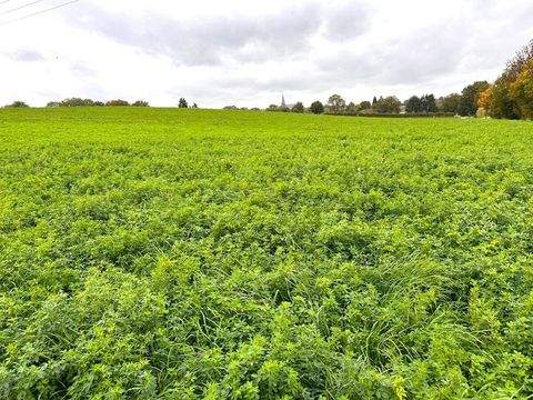 Linnich / Boslar Bauernhöfe, Landwirtschaft, Linnich / Boslar Forstwirtschaft