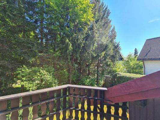 Dachterrasse Südseite.jpg