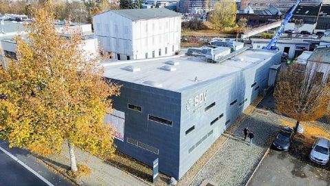 Dresden Halle, Dresden Hallenfläche