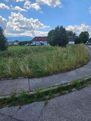 Ansicht Steigenberger Str.jpg