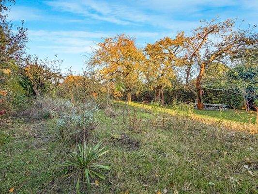 Streuobstwiese/Garten