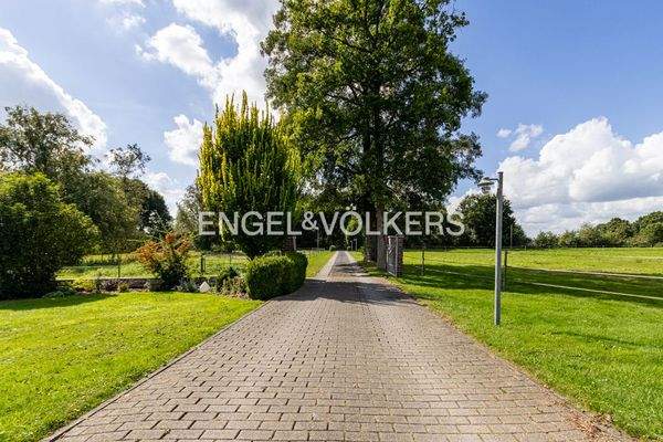 Blick vom Haus auf die Auffahrt