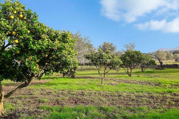 ... über das Grundstück...