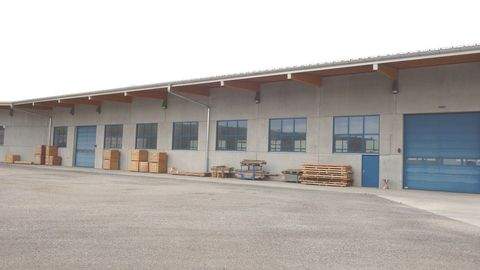 Statzendorf Halle, Statzendorf Hallenfläche