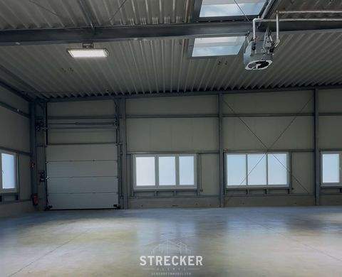 Karlsruhe Halle, Karlsruhe Hallenfläche