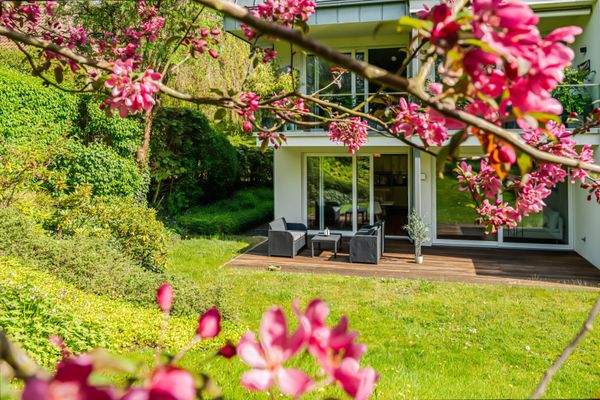 Blick auf die Terrasse.jpg