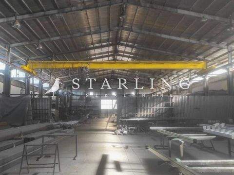 Opuzen Büros, Büroräume, Büroflächen 