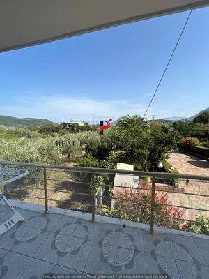 WhatsApp Image 2024-09-06 at 13.20.59 (65).jpeg