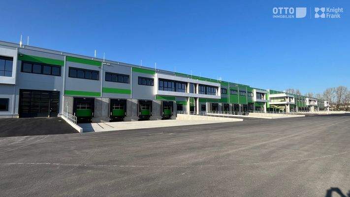 20250404_1220_MLP_WVP_ (7)