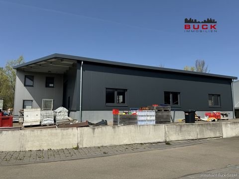 Geislingen an der Steige Halle, Geislingen an der Steige Hallenfläche