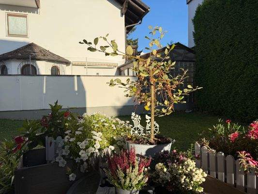 Garten-Blick nach Osten