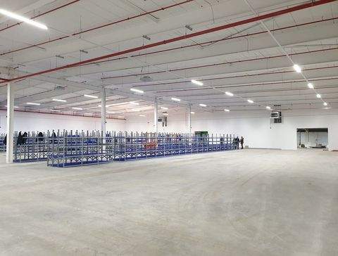 Schenefeld Halle, Schenefeld Hallenfläche