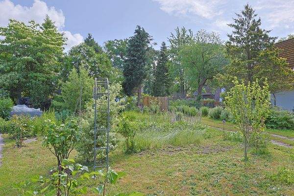 Viel Sonne: Foto vom Grundstück