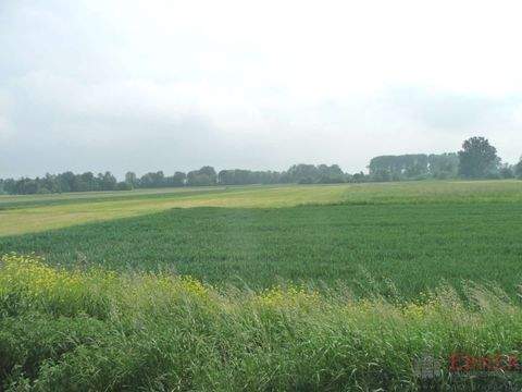 Stephansposching Grundstücke, Stephansposching Grundstück kaufen