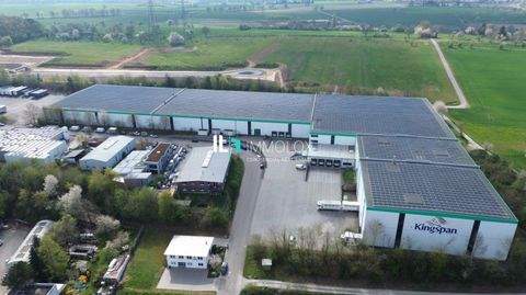 Bretten Halle, Bretten Hallenfläche