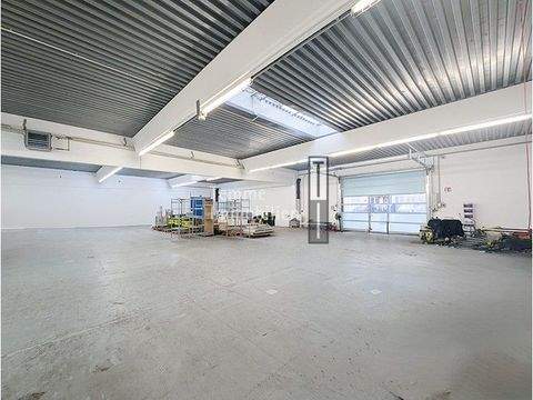 Nürnberg Halle, Nürnberg Hallenfläche