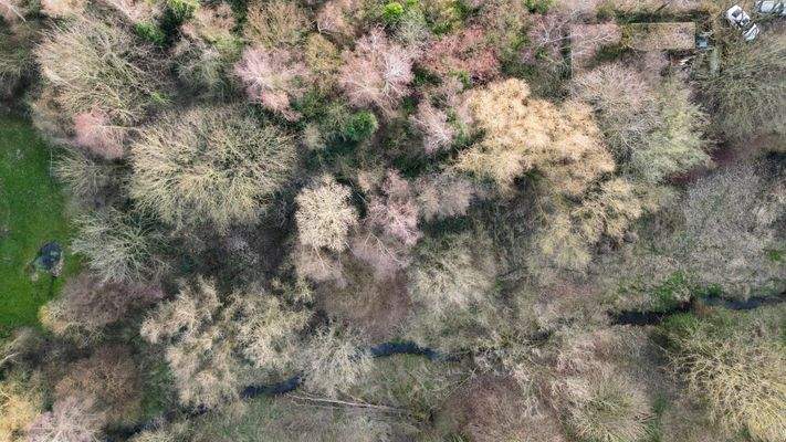 Ansicht aus Nord/Ost