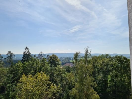 Herrliche Aussicht mit Alpenpanorama.