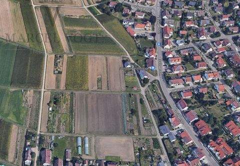 Wolfschlugen Bauernhöfe, Landwirtschaft, Wolfschlugen Forstwirtschaft