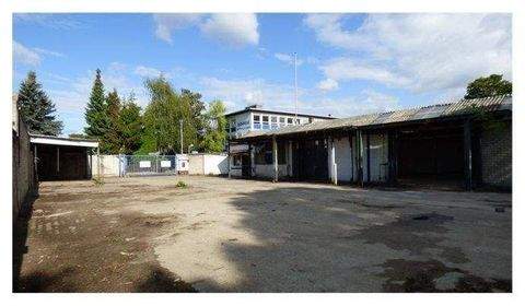 Düsseldorf Halle, Düsseldorf Hallenfläche