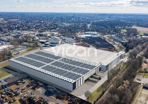 Rheine Halle, Rheine Hallenfläche