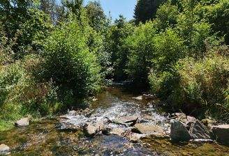Fluss Oos