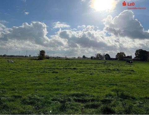 Ovelgönne Bauernhöfe, Landwirtschaft, Ovelgönne Forstwirtschaft