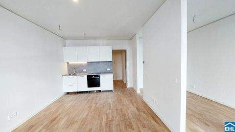 Wien Wohnungen, Wien Wohnung mieten