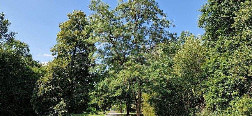 Ihr Nachbar - der Marienbergpark