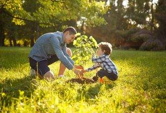 Vater Sohn Baum-pflanzen 