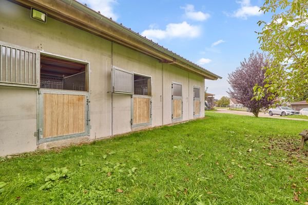 13 Fensterboxen.jpg