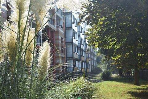 Dessau-Roßlau Wohnungen, Dessau-Roßlau Wohnung mieten