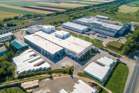 Neuss Halle, Neuss Hallenfläche