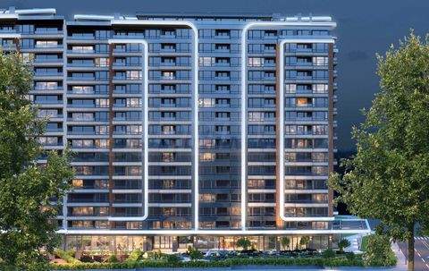 Sofia Ladenlokale, Ladenflächen 