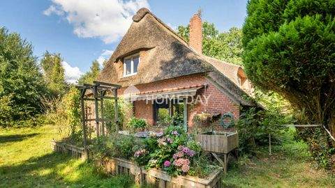 Vollersode Häuser, Vollersode Haus kaufen