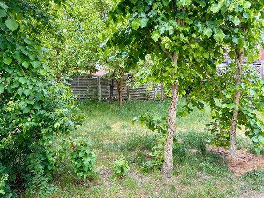 Garten / Baugrundstück 