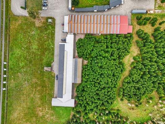 Vogelperspektive Teil 2