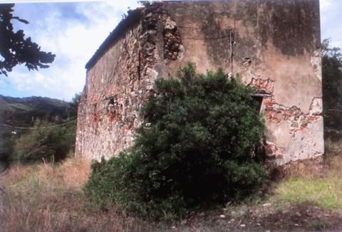 vibonati Häuser, vibonati Haus kaufen